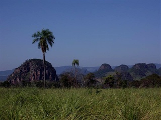 Bella Vista - Concepcion (3)